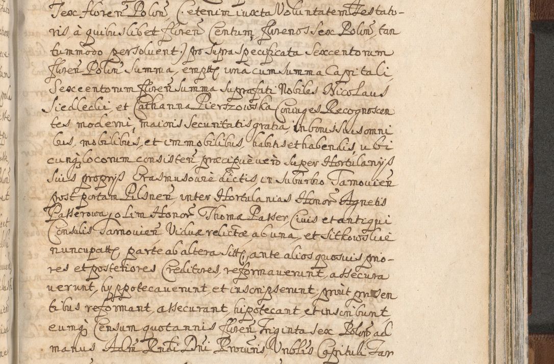 Zdjęcie nr 1425 dla obiektu archiwalnego: Acta actorum, decretorum, sententiarum, erectionum, confirmationum, institutionum, resignationum, constitutionum, provisionum, quietationum, submissionum, protestationum, substitutionum R. D. Petri Gembicki, episcopi Cracoviensis, ducis Severiae in a. D. 1650 et 1651 acticatorum. Volumen V