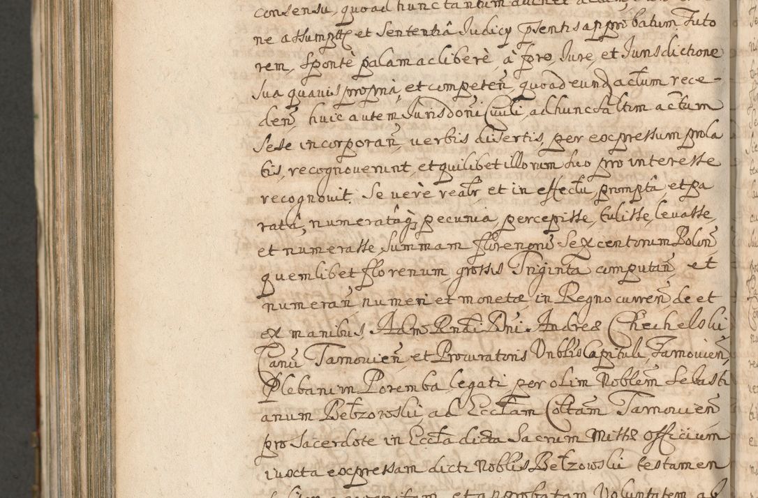 Zdjęcie nr 1424 dla obiektu archiwalnego: Acta actorum, decretorum, sententiarum, erectionum, confirmationum, institutionum, resignationum, constitutionum, provisionum, quietationum, submissionum, protestationum, substitutionum R. D. Petri Gembicki, episcopi Cracoviensis, ducis Severiae in a. D. 1650 et 1651 acticatorum. Volumen V