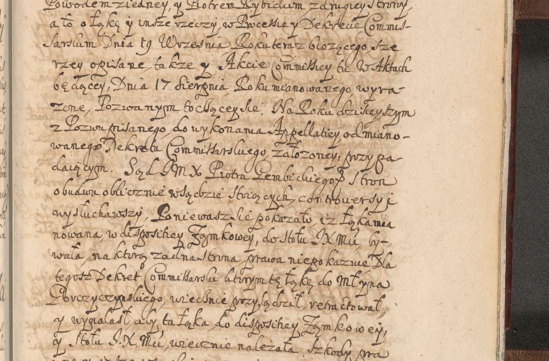 Zdjęcie nr 1735 dla obiektu archiwalnego: Acta actorum, decretorum, sententiarum, erectionum, confirmationum, institutionum, resignationum, constitutionum, provisionum, quietationum, submissionum, protestationum, substitutionum R. D. Petri Gembicki, episcopi Cracoviensis, ducis Severiae in a. D. 1650 et 1651 acticatorum. Volumen V