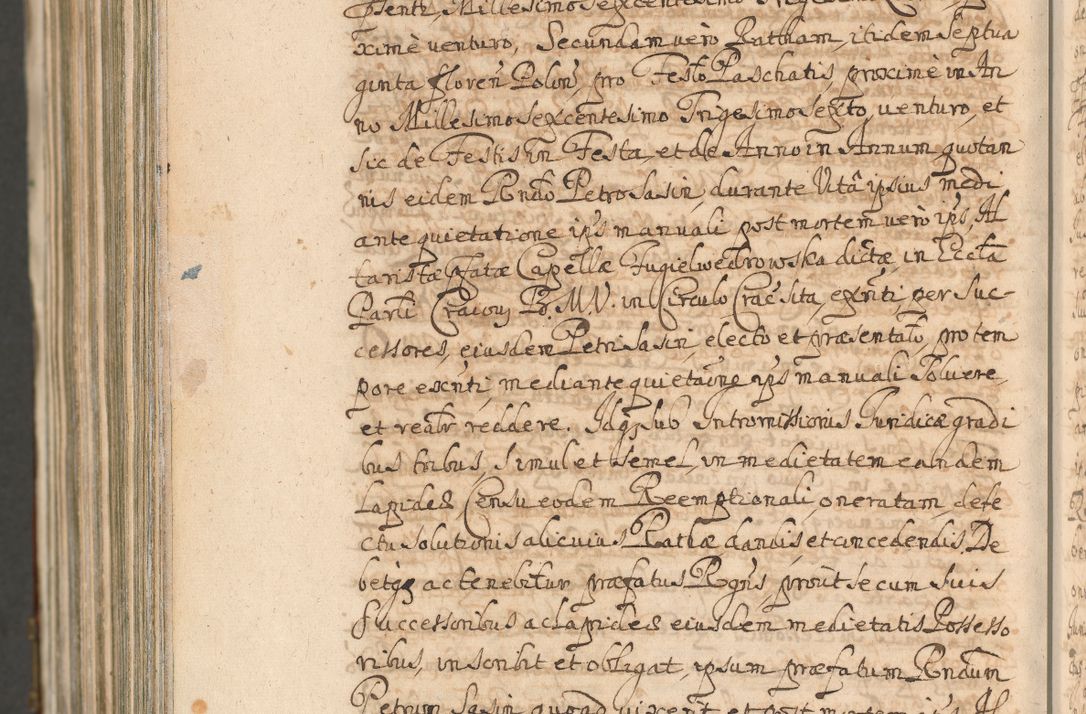 Zdjęcie nr 1726 dla obiektu archiwalnego: Acta actorum, decretorum, sententiarum, erectionum, confirmationum, institutionum, resignationum, constitutionum, provisionum, quietationum, submissionum, protestationum, substitutionum R. D. Petri Gembicki, episcopi Cracoviensis, ducis Severiae in a. D. 1650 et 1651 acticatorum. Volumen V
