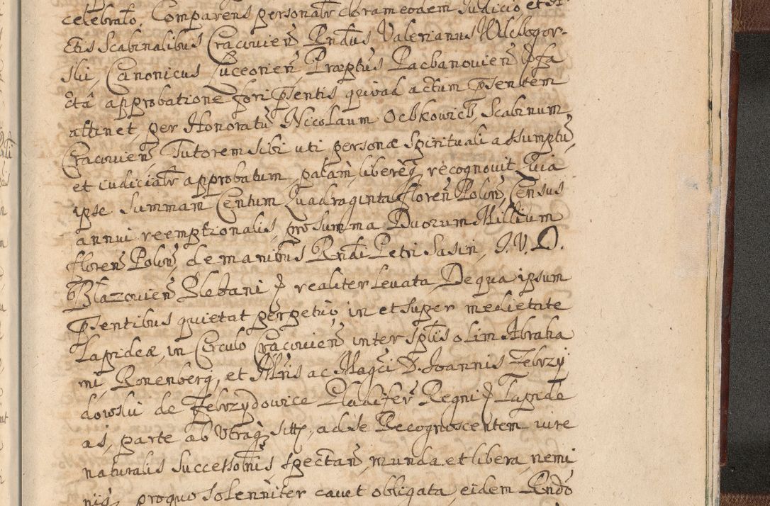 Zdjęcie nr 1725 dla obiektu archiwalnego: Acta actorum, decretorum, sententiarum, erectionum, confirmationum, institutionum, resignationum, constitutionum, provisionum, quietationum, submissionum, protestationum, substitutionum R. D. Petri Gembicki, episcopi Cracoviensis, ducis Severiae in a. D. 1650 et 1651 acticatorum. Volumen V