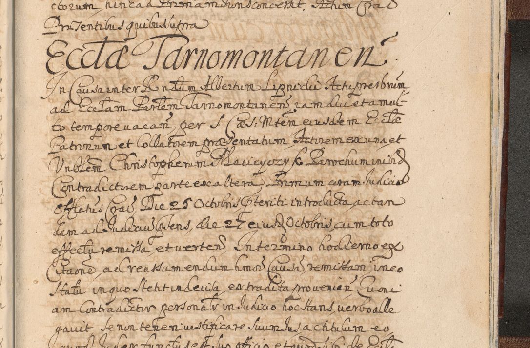 Zdjęcie nr 1709 dla obiektu archiwalnego: Acta actorum, decretorum, sententiarum, erectionum, confirmationum, institutionum, resignationum, constitutionum, provisionum, quietationum, submissionum, protestationum, substitutionum R. D. Petri Gembicki, episcopi Cracoviensis, ducis Severiae in a. D. 1650 et 1651 acticatorum. Volumen V