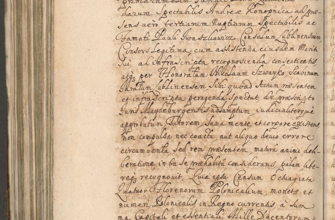 Zdjęcie nr 1664 dla obiektu archiwalnego: Acta actorum, decretorum, sententiarum, erectionum, confirmationum, institutionum, resignationum, constitutionum, provisionum, quietationum, submissionum, protestationum, substitutionum R. D. Petri Gembicki, episcopi Cracoviensis, ducis Severiae in a. D. 1650 et 1651 acticatorum. Volumen V
