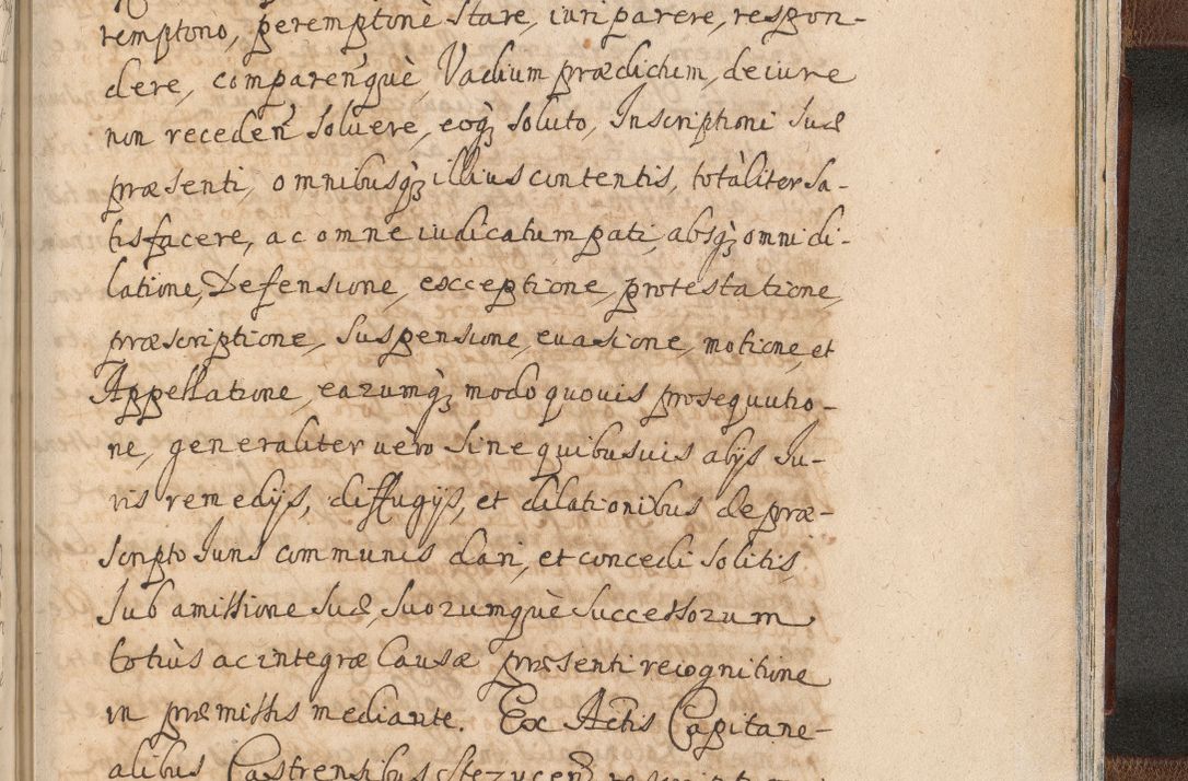 Zdjęcie nr 1663 dla obiektu archiwalnego: Acta actorum, decretorum, sententiarum, erectionum, confirmationum, institutionum, resignationum, constitutionum, provisionum, quietationum, submissionum, protestationum, substitutionum R. D. Petri Gembicki, episcopi Cracoviensis, ducis Severiae in a. D. 1650 et 1651 acticatorum. Volumen V