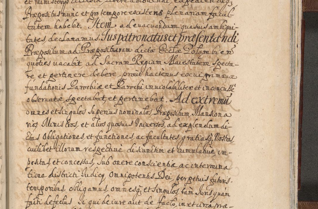Zdjęcie nr 1655 dla obiektu archiwalnego: Acta actorum, decretorum, sententiarum, erectionum, confirmationum, institutionum, resignationum, constitutionum, provisionum, quietationum, submissionum, protestationum, substitutionum R. D. Petri Gembicki, episcopi Cracoviensis, ducis Severiae in a. D. 1650 et 1651 acticatorum. Volumen V