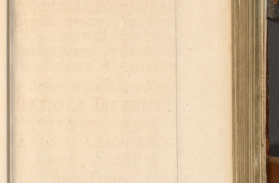 Zdjęcie nr 200 dla obiektu archiwalnego: Acta actorum, decretorum, sententiarum, erectionum, fundationum, confirmationum, instiutionum, resignationum, constitutionum, provisionum, submissionum, quietationum, substitutionum, ordinationum, ingrossationum, prostestationum R. D. Andreae Trzebicki, episcopi Cracoviensis, ducis Severiae in a. D. 1658 et  1659 acticatorum. Volumen I 