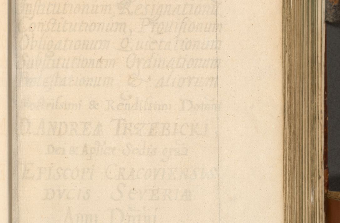 Zdjęcie nr 202 dla obiektu archiwalnego: Acta actorum, decretorum, sententiarum, erectionum, fundationum, confirmationum, instiutionum, resignationum, constitutionum, provisionum, submissionum, quietationum, substitutionum, ordinationum, ingrossationum, prostestationum R. D. Andreae Trzebicki, episcopi Cracoviensis, ducis Severiae in a. D. 1658 et  1659 acticatorum. Volumen I 