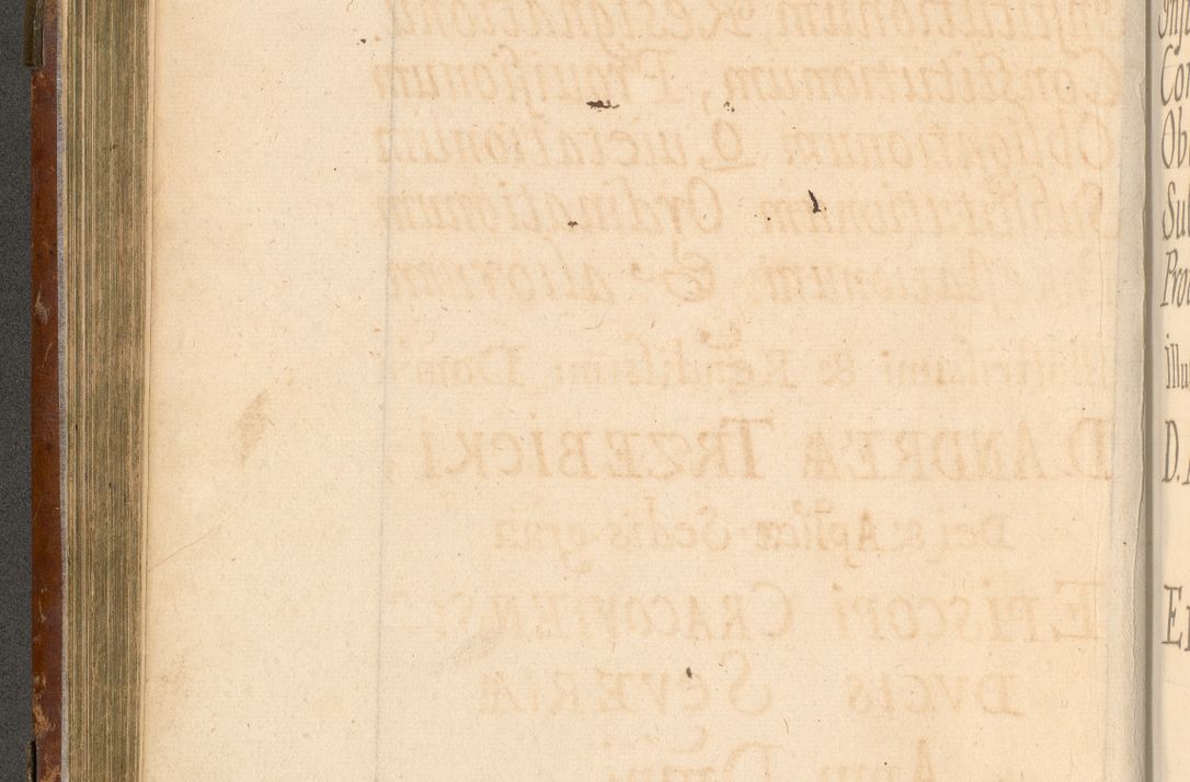 Zdjęcie nr 203 dla obiektu archiwalnego: Acta actorum, decretorum, sententiarum, erectionum, fundationum, confirmationum, instiutionum, resignationum, constitutionum, provisionum, submissionum, quietationum, substitutionum, ordinationum, ingrossationum, prostestationum R. D. Andreae Trzebicki, episcopi Cracoviensis, ducis Severiae in a. D. 1658 et  1659 acticatorum. Volumen I 
