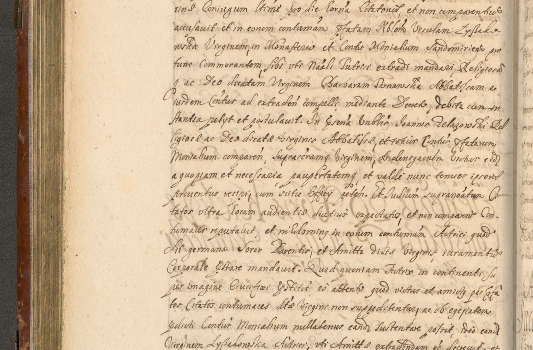 Zdjęcie nr 189 dla obiektu archiwalnego: Acta actorum, decretorum, sententiarum, erectionum, fundationum, confirmationum, instiutionum, resignationum, constitutionum, provisionum, submissionum, quietationum, substitutionum, ordinationum, ingrossationum, prostestationum R. D. Andreae Trzebicki, episcopi Cracoviensis, ducis Severiae in a. D. 1658 et  1659 acticatorum. Volumen I 
