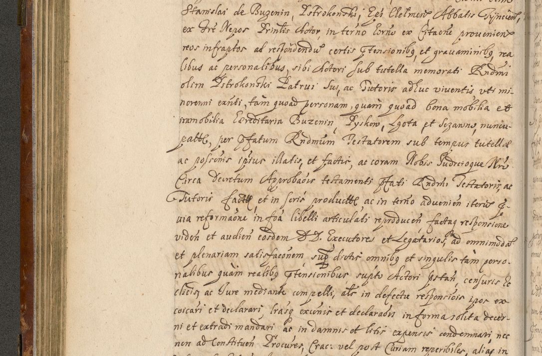 Zdjęcie nr 133 dla obiektu archiwalnego: Acta actorum, decretorum, sententiarum, erectionum, fundationum, confirmationum, instiutionum, resignationum, constitutionum, provisionum, submissionum, quietationum, substitutionum, ordinationum, ingrossationum, prostestationum R. D. Andreae Trzebicki, episcopi Cracoviensis, ducis Severiae in a. D. 1658 et  1659 acticatorum. Volumen I 