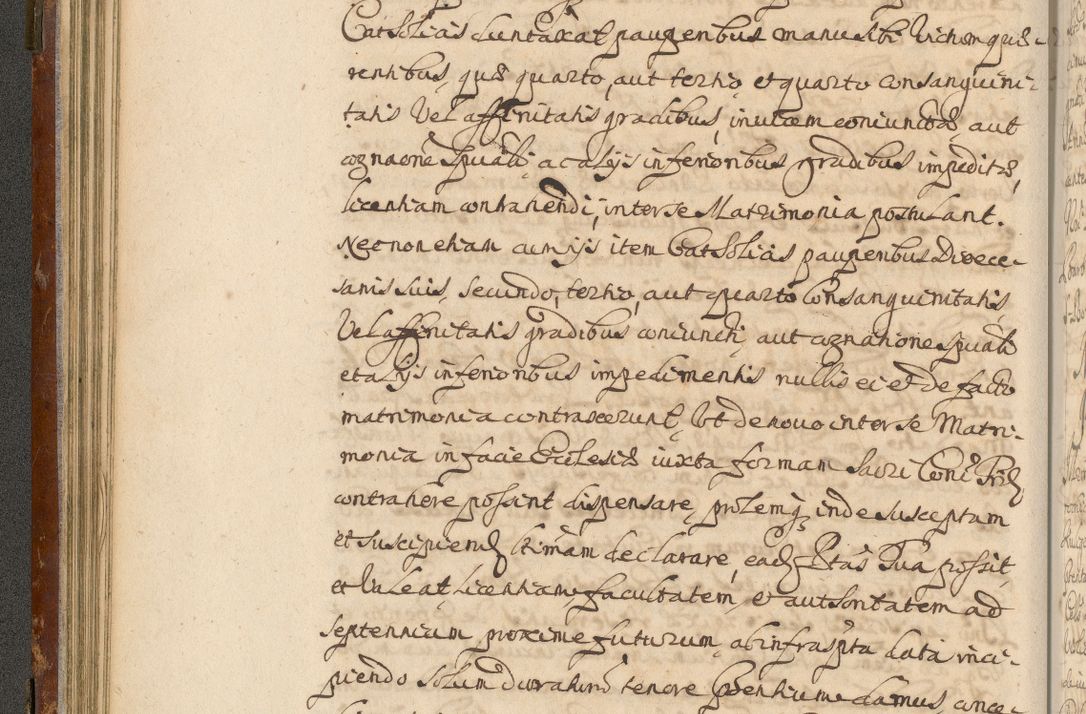 Zdjęcie nr 89 dla obiektu archiwalnego: Acta actorum, decretorum, sententiarum, erectionum, fundationum, confirmationum, instiutionum, resignationum, constitutionum, provisionum, submissionum, quietationum, substitutionum, ordinationum, ingrossationum, prostestationum R. D. Andreae Trzebicki, episcopi Cracoviensis, ducis Severiae in a. D. 1658 et  1659 acticatorum. Volumen I 