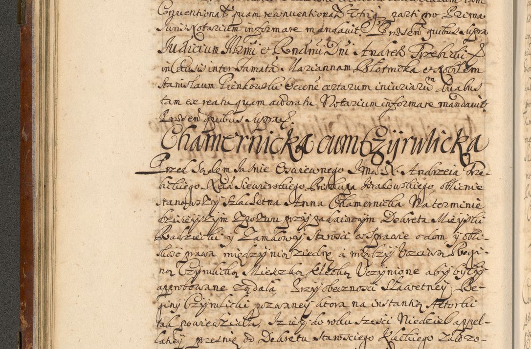 Zdjęcie nr 65 dla obiektu archiwalnego: Acta actorum, decretorum, sententiarum, erectionum, fundationum, confirmationum, instiutionum, resignationum, constitutionum, provisionum, submissionum, quietationum, substitutionum, ordinationum, ingrossationum, prostestationum R. D. Andreae Trzebicki, episcopi Cracoviensis, ducis Severiae in a. D. 1658 et  1659 acticatorum. Volumen I 