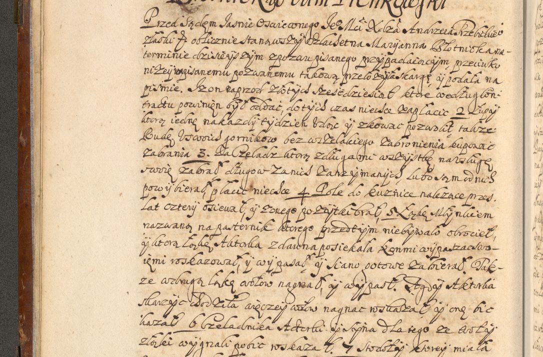 Zdjęcie nr 19 dla obiektu archiwalnego: Acta actorum, decretorum, sententiarum, erectionum, fundationum, confirmationum, instiutionum, resignationum, constitutionum, provisionum, submissionum, quietationum, substitutionum, ordinationum, ingrossationum, prostestationum R. D. Andreae Trzebicki, episcopi Cracoviensis, ducis Severiae in a. D. 1658 et  1659 acticatorum. Volumen I 