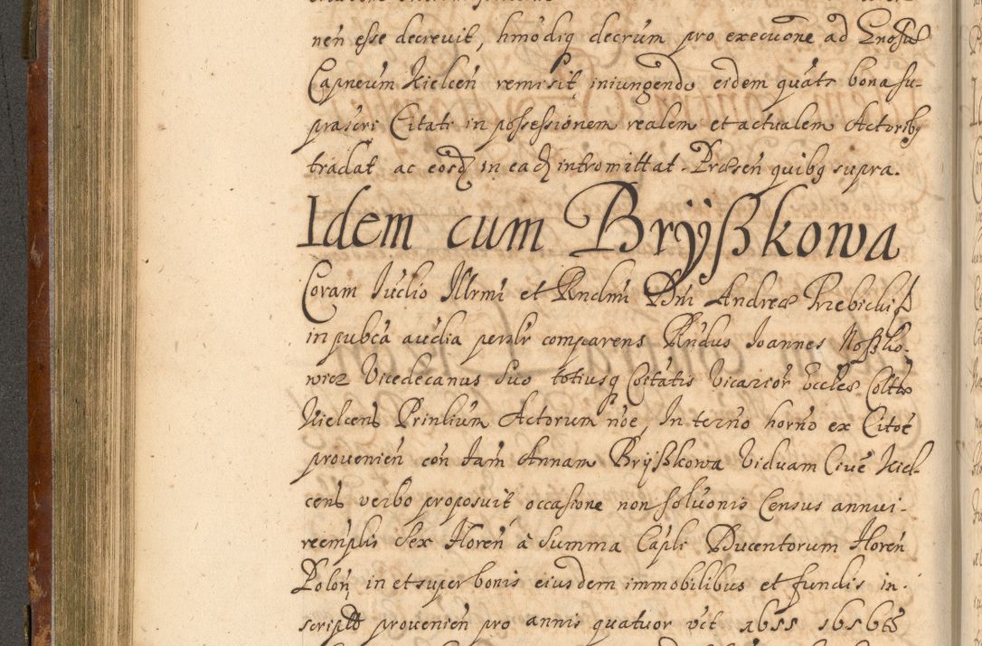Zdjęcie nr 305 dla obiektu archiwalnego: Acta actorum, decretorum, sententiarum, erectionum, fundationum, confirmationum, instiutionum, resignationum, constitutionum, provisionum, submissionum, quietationum, substitutionum, ordinationum, ingrossationum, prostestationum R. D. Andreae Trzebicki, episcopi Cracoviensis, ducis Severiae in a. D. 1658 et  1659 acticatorum. Volumen I 