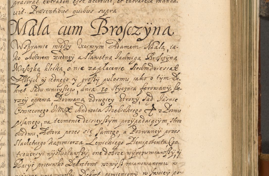 Zdjęcie nr 282 dla obiektu archiwalnego: Acta actorum, decretorum, sententiarum, erectionum, fundationum, confirmationum, instiutionum, resignationum, constitutionum, provisionum, submissionum, quietationum, substitutionum, ordinationum, ingrossationum, prostestationum R. D. Andreae Trzebicki, episcopi Cracoviensis, ducis Severiae in a. D. 1658 et  1659 acticatorum. Volumen I 