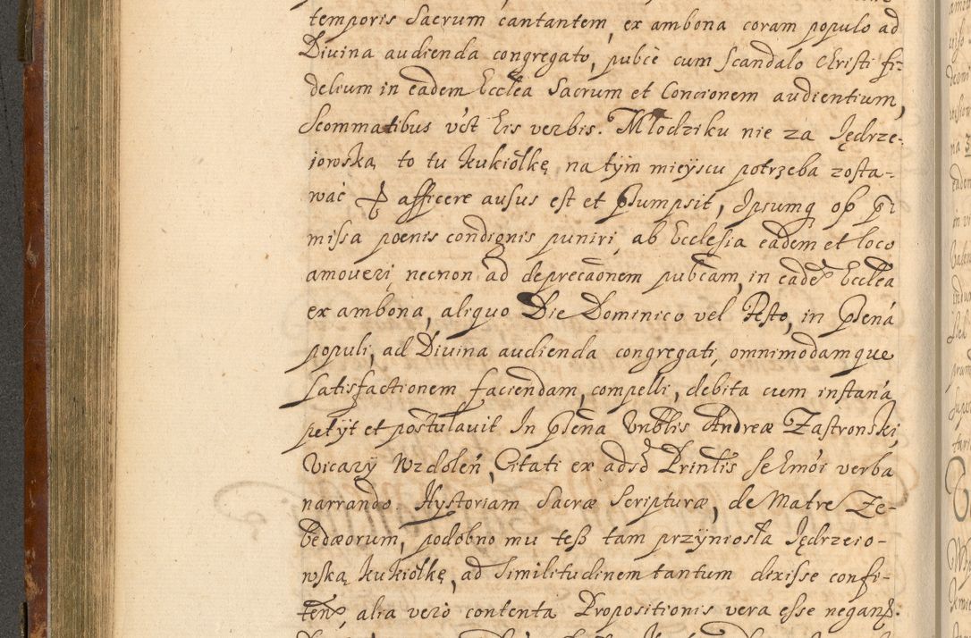 Zdjęcie nr 273 dla obiektu archiwalnego: Acta actorum, decretorum, sententiarum, erectionum, fundationum, confirmationum, instiutionum, resignationum, constitutionum, provisionum, submissionum, quietationum, substitutionum, ordinationum, ingrossationum, prostestationum R. D. Andreae Trzebicki, episcopi Cracoviensis, ducis Severiae in a. D. 1658 et  1659 acticatorum. Volumen I 