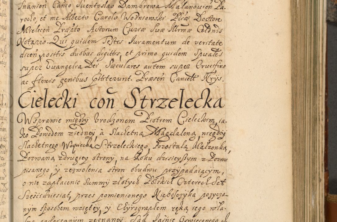 Zdjęcie nr 266 dla obiektu archiwalnego: Acta actorum, decretorum, sententiarum, erectionum, fundationum, confirmationum, instiutionum, resignationum, constitutionum, provisionum, submissionum, quietationum, substitutionum, ordinationum, ingrossationum, prostestationum R. D. Andreae Trzebicki, episcopi Cracoviensis, ducis Severiae in a. D. 1658 et  1659 acticatorum. Volumen I 