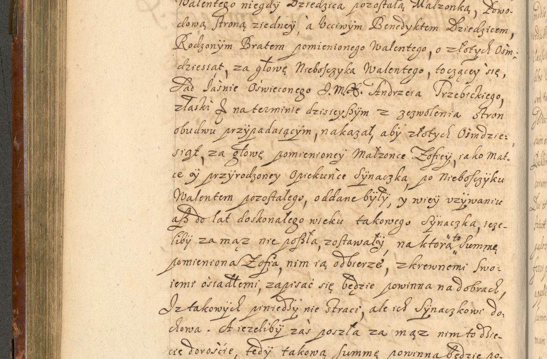 Zdjęcie nr 259 dla obiektu archiwalnego: Acta actorum, decretorum, sententiarum, erectionum, fundationum, confirmationum, instiutionum, resignationum, constitutionum, provisionum, submissionum, quietationum, substitutionum, ordinationum, ingrossationum, prostestationum R. D. Andreae Trzebicki, episcopi Cracoviensis, ducis Severiae in a. D. 1658 et  1659 acticatorum. Volumen I 