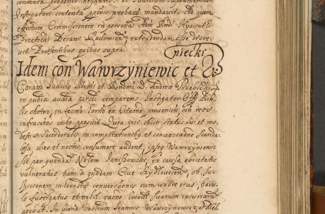 Zdjęcie nr 242 dla obiektu archiwalnego: Acta actorum, decretorum, sententiarum, erectionum, fundationum, confirmationum, instiutionum, resignationum, constitutionum, provisionum, submissionum, quietationum, substitutionum, ordinationum, ingrossationum, prostestationum R. D. Andreae Trzebicki, episcopi Cracoviensis, ducis Severiae in a. D. 1658 et  1659 acticatorum. Volumen I 