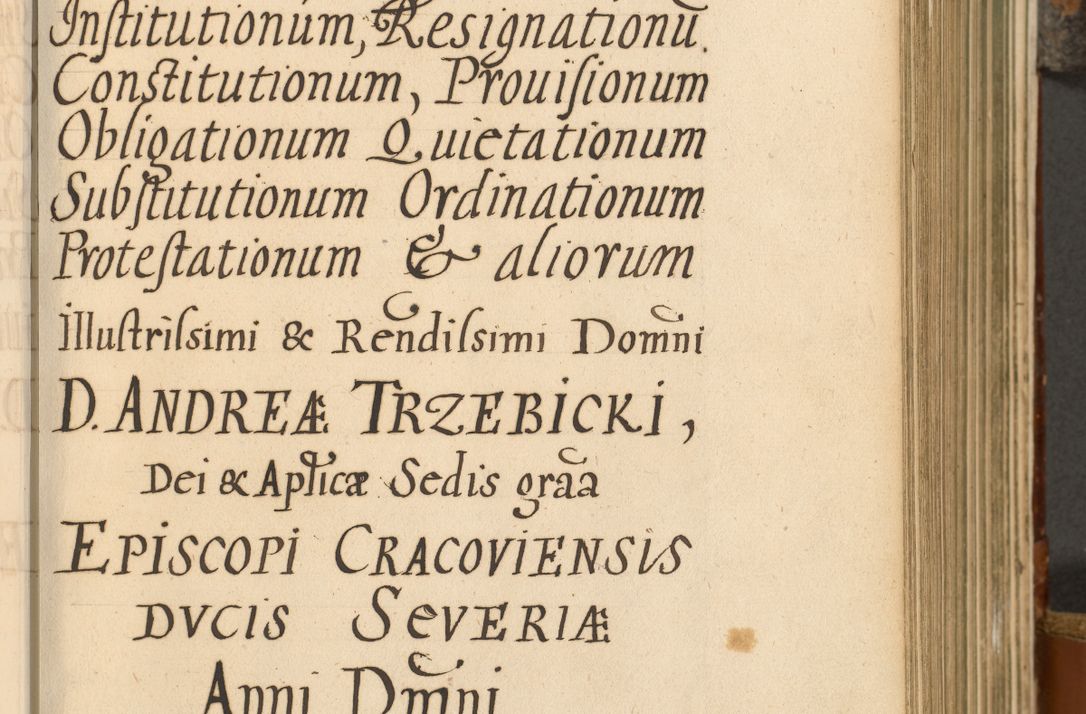 Zdjęcie nr 204 dla obiektu archiwalnego: Acta actorum, decretorum, sententiarum, erectionum, fundationum, confirmationum, instiutionum, resignationum, constitutionum, provisionum, submissionum, quietationum, substitutionum, ordinationum, ingrossationum, prostestationum R. D. Andreae Trzebicki, episcopi Cracoviensis, ducis Severiae in a. D. 1658 et  1659 acticatorum. Volumen I 