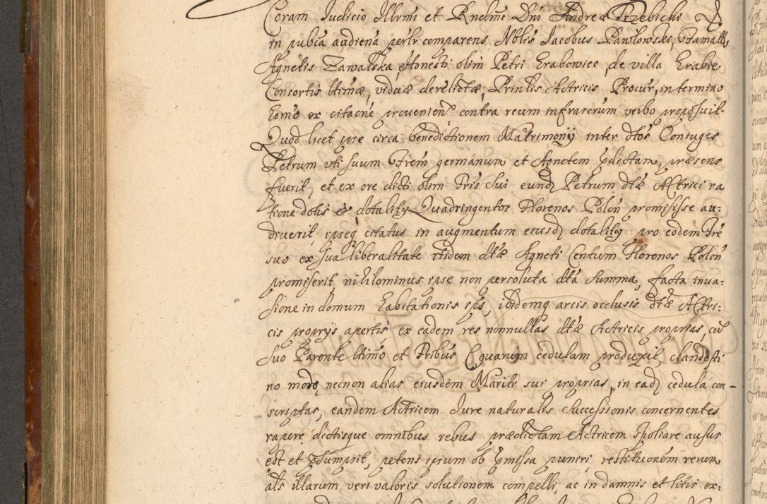 Zdjęcie nr 491 dla obiektu archiwalnego: Acta actorum, decretorum, sententiarum, erectionum, fundationum, confirmationum, instiutionum, resignationum, constitutionum, provisionum, submissionum, quietationum, substitutionum, ordinationum, ingrossationum, prostestationum R. D. Andreae Trzebicki, episcopi Cracoviensis, ducis Severiae in a. D. 1658 et  1659 acticatorum. Volumen I 