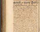 Zdjęcie nr 409 dla obiektu archiwalnego: Acta actorum, decretorum, sententiarum, erectionum, fundationum, confirmationum, instiutionum, resignationum, constitutionum, provisionum, submissionum, quietationum, substitutionum, ordinationum, ingrossationum, prostestationum R. D. Andreae Trzebicki, episcopi Cracoviensis, ducis Severiae in a. D. 1658 et  1659 acticatorum. Volumen I 