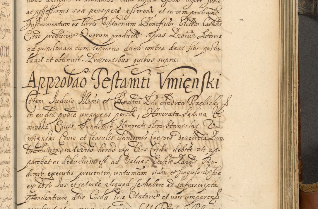 Zdjęcie nr 726 dla obiektu archiwalnego: Acta actorum, decretorum, sententiarum, erectionum, fundationum, confirmationum, instiutionum, resignationum, constitutionum, provisionum, submissionum, quietationum, substitutionum, ordinationum, ingrossationum, prostestationum R. D. Andreae Trzebicki, episcopi Cracoviensis, ducis Severiae in a. D. 1658 et  1659 acticatorum. Volumen I 
