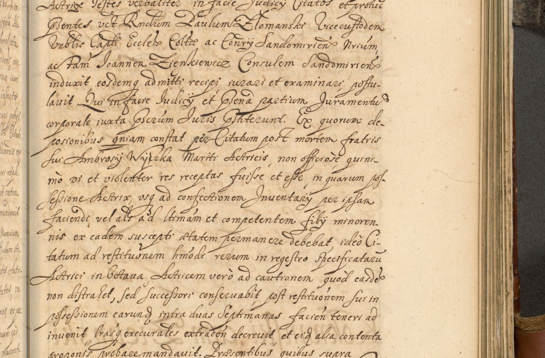 Zdjęcie nr 720 dla obiektu archiwalnego: Acta actorum, decretorum, sententiarum, erectionum, fundationum, confirmationum, instiutionum, resignationum, constitutionum, provisionum, submissionum, quietationum, substitutionum, ordinationum, ingrossationum, prostestationum R. D. Andreae Trzebicki, episcopi Cracoviensis, ducis Severiae in a. D. 1658 et  1659 acticatorum. Volumen I 