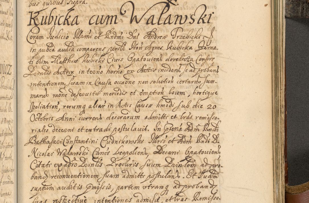 Zdjęcie nr 926 dla obiektu archiwalnego: Acta actorum, decretorum, sententiarum, erectionum, fundationum, confirmationum, instiutionum, resignationum, constitutionum, provisionum, submissionum, quietationum, substitutionum, ordinationum, ingrossationum, prostestationum R. D. Andreae Trzebicki, episcopi Cracoviensis, ducis Severiae in a. D. 1658 et  1659 acticatorum. Volumen I 
