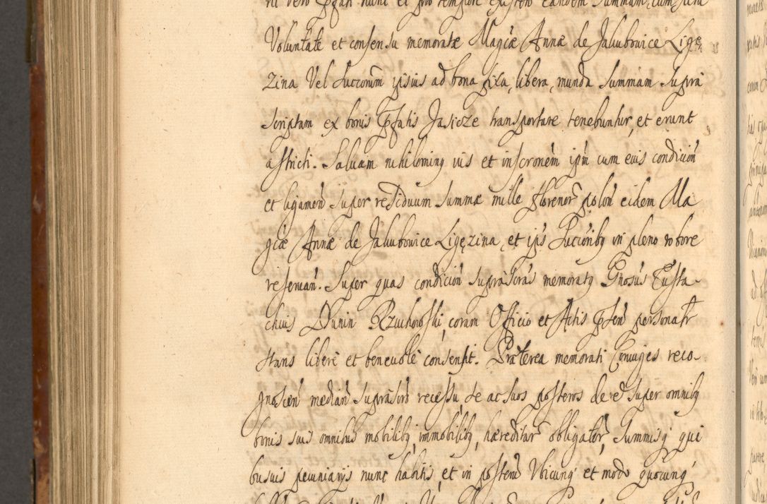 Zdjęcie nr 911 dla obiektu archiwalnego: Acta actorum, decretorum, sententiarum, erectionum, fundationum, confirmationum, instiutionum, resignationum, constitutionum, provisionum, submissionum, quietationum, substitutionum, ordinationum, ingrossationum, prostestationum R. D. Andreae Trzebicki, episcopi Cracoviensis, ducis Severiae in a. D. 1658 et  1659 acticatorum. Volumen I 