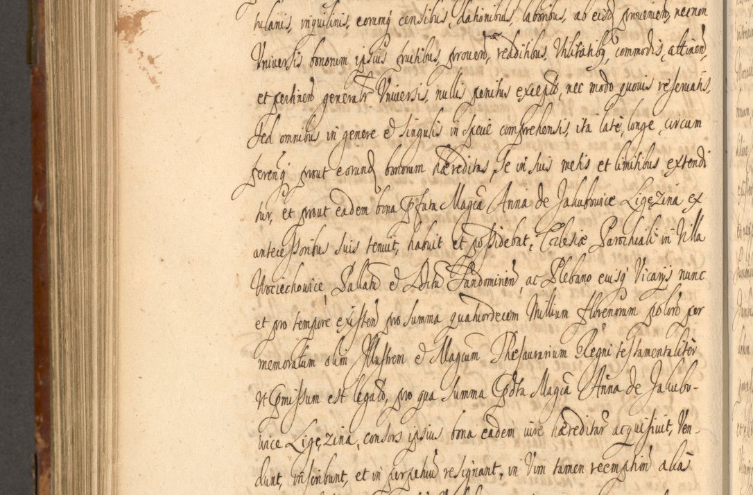 Zdjęcie nr 905 dla obiektu archiwalnego: Acta actorum, decretorum, sententiarum, erectionum, fundationum, confirmationum, instiutionum, resignationum, constitutionum, provisionum, submissionum, quietationum, substitutionum, ordinationum, ingrossationum, prostestationum R. D. Andreae Trzebicki, episcopi Cracoviensis, ducis Severiae in a. D. 1658 et  1659 acticatorum. Volumen I 