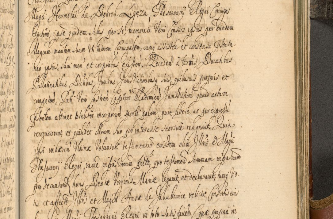Zdjęcie nr 904 dla obiektu archiwalnego: Acta actorum, decretorum, sententiarum, erectionum, fundationum, confirmationum, instiutionum, resignationum, constitutionum, provisionum, submissionum, quietationum, substitutionum, ordinationum, ingrossationum, prostestationum R. D. Andreae Trzebicki, episcopi Cracoviensis, ducis Severiae in a. D. 1658 et  1659 acticatorum. Volumen I 