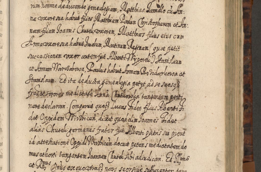 Zdjęcie nr 200 dla obiektu archiwalnego: Acta actorum, causarum spiritualium, civilium, criminalium, obligationum, quietationum, inscpritionum, cessionum, decimarum, testamentorum R. D. Martini Szyszkowski, episcopi Cracoviensis, ducis Severiensis in annis 1624 - 1626. Tomus tertius.