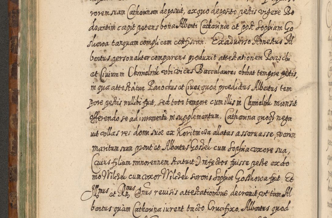 Zdjęcie nr 197 dla obiektu archiwalnego: Acta actorum, causarum spiritualium, civilium, criminalium, obligationum, quietationum, inscpritionum, cessionum, decimarum, testamentorum R. D. Martini Szyszkowski, episcopi Cracoviensis, ducis Severiensis in annis 1624 - 1626. Tomus tertius.