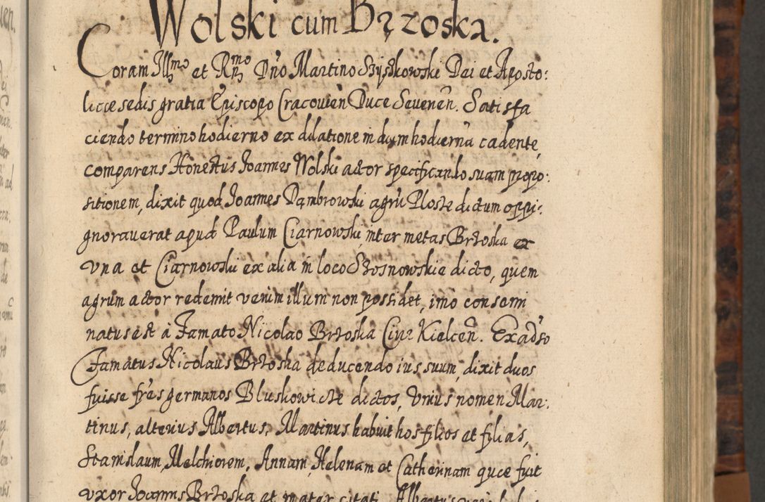 Zdjęcie nr 182 dla obiektu archiwalnego: Acta actorum, causarum spiritualium, civilium, criminalium, obligationum, quietationum, inscpritionum, cessionum, decimarum, testamentorum R. D. Martini Szyszkowski, episcopi Cracoviensis, ducis Severiensis in annis 1624 - 1626. Tomus tertius.