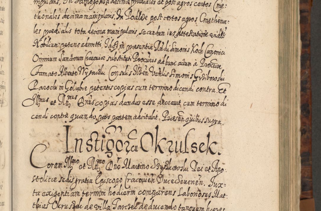 Zdjęcie nr 172 dla obiektu archiwalnego: Acta actorum, causarum spiritualium, civilium, criminalium, obligationum, quietationum, inscpritionum, cessionum, decimarum, testamentorum R. D. Martini Szyszkowski, episcopi Cracoviensis, ducis Severiensis in annis 1624 - 1626. Tomus tertius.