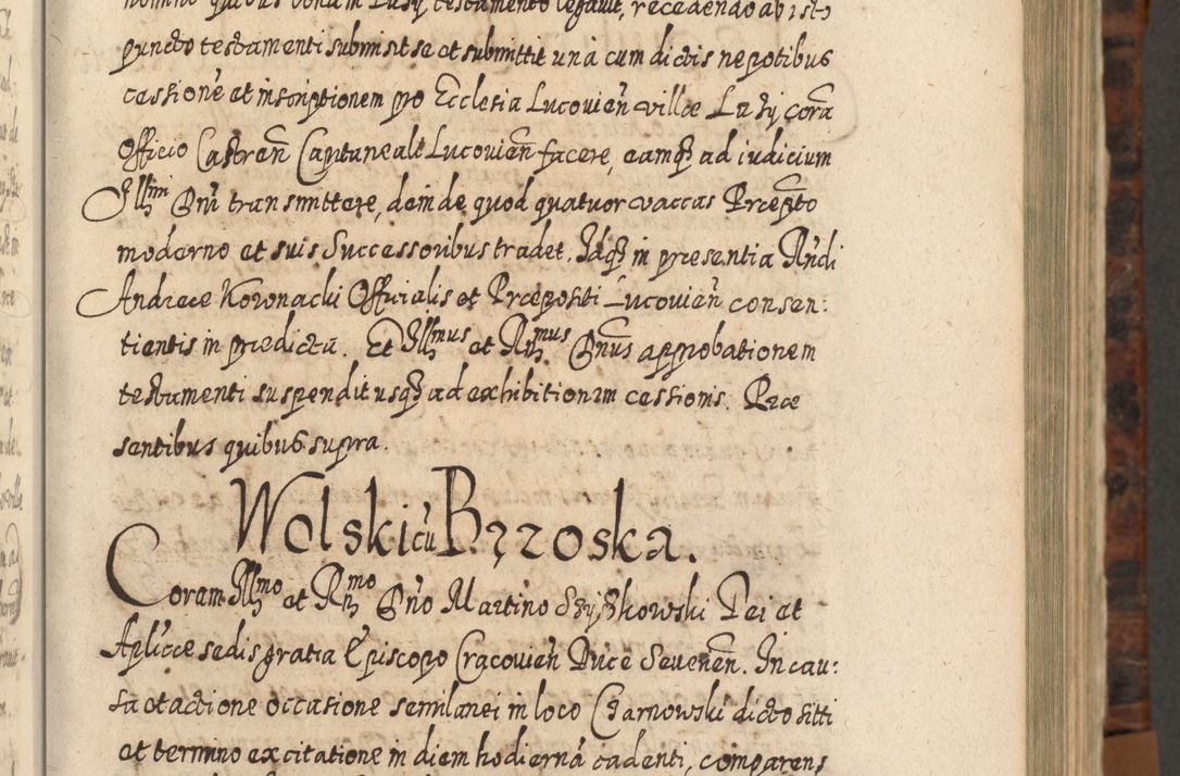 Zdjęcie nr 174 dla obiektu archiwalnego: Acta actorum, causarum spiritualium, civilium, criminalium, obligationum, quietationum, inscpritionum, cessionum, decimarum, testamentorum R. D. Martini Szyszkowski, episcopi Cracoviensis, ducis Severiensis in annis 1624 - 1626. Tomus tertius.