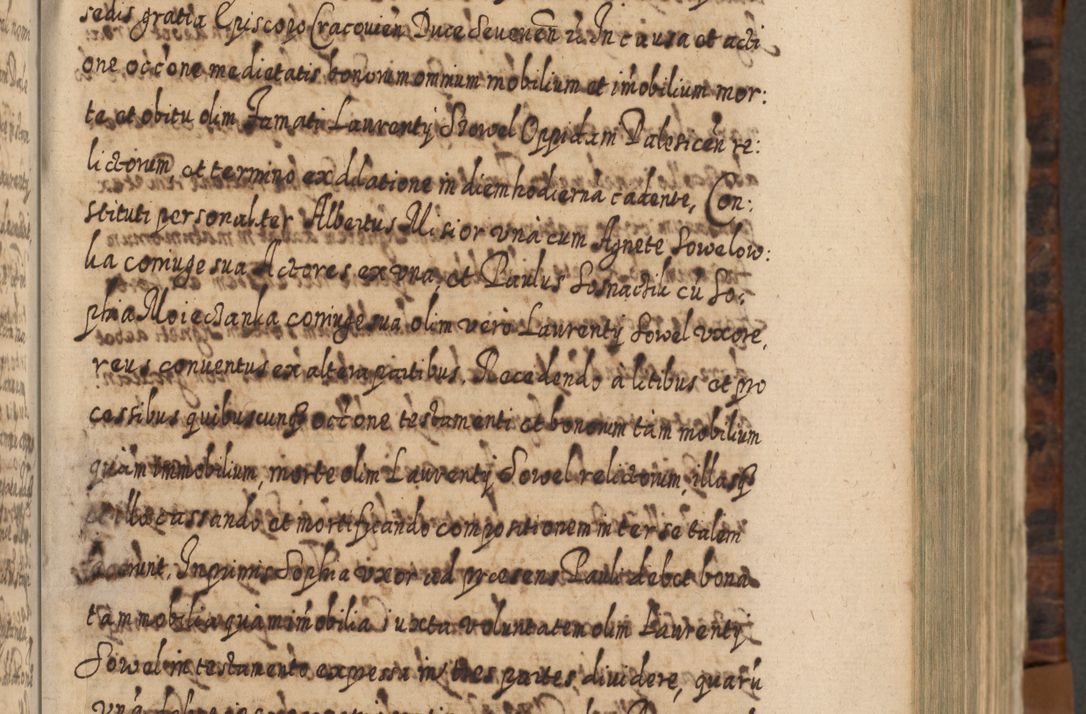 Zdjęcie nr 132 dla obiektu archiwalnego: Acta actorum, causarum spiritualium, civilium, criminalium, obligationum, quietationum, inscpritionum, cessionum, decimarum, testamentorum R. D. Martini Szyszkowski, episcopi Cracoviensis, ducis Severiensis in annis 1624 - 1626. Tomus tertius.