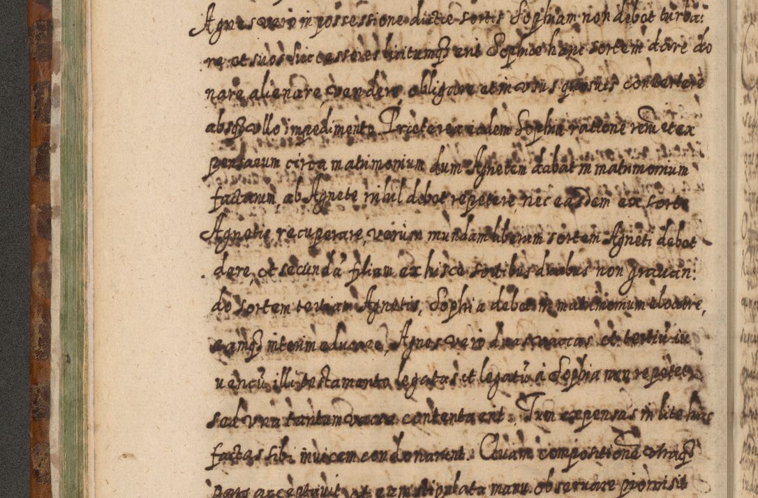 Zdjęcie nr 133 dla obiektu archiwalnego: Acta actorum, causarum spiritualium, civilium, criminalium, obligationum, quietationum, inscpritionum, cessionum, decimarum, testamentorum R. D. Martini Szyszkowski, episcopi Cracoviensis, ducis Severiensis in annis 1624 - 1626. Tomus tertius.