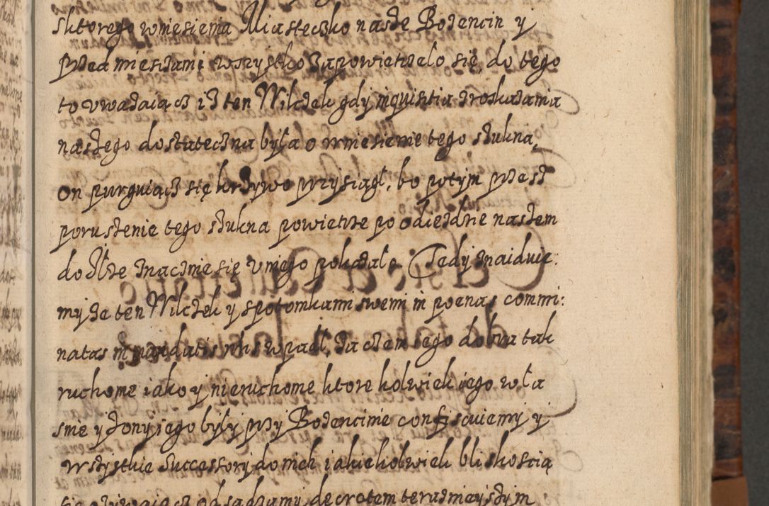 Zdjęcie nr 116 dla obiektu archiwalnego: Acta actorum, causarum spiritualium, civilium, criminalium, obligationum, quietationum, inscpritionum, cessionum, decimarum, testamentorum R. D. Martini Szyszkowski, episcopi Cracoviensis, ducis Severiensis in annis 1624 - 1626. Tomus tertius.
