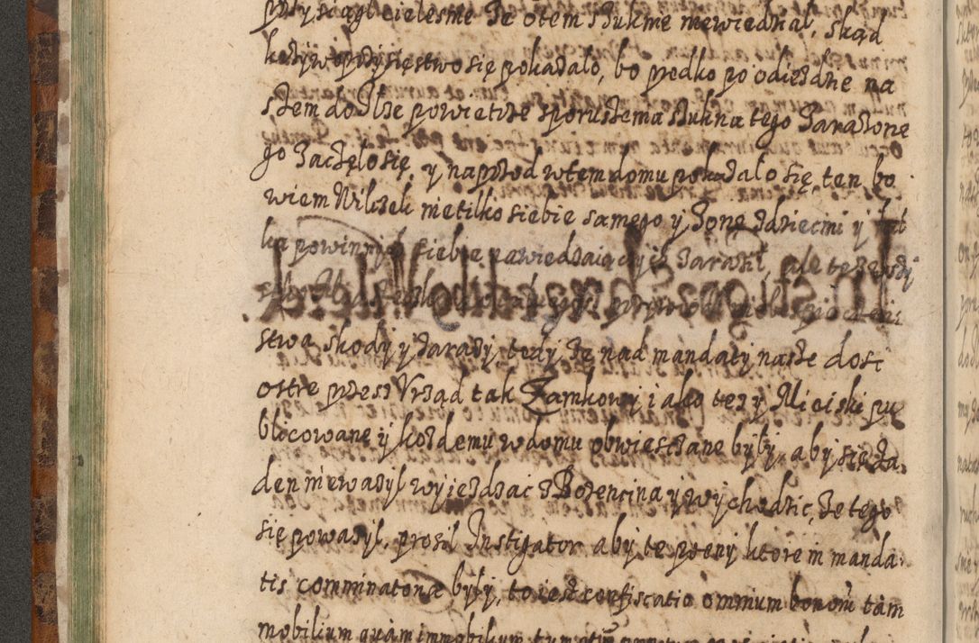 Zdjęcie nr 115 dla obiektu archiwalnego: Acta actorum, causarum spiritualium, civilium, criminalium, obligationum, quietationum, inscpritionum, cessionum, decimarum, testamentorum R. D. Martini Szyszkowski, episcopi Cracoviensis, ducis Severiensis in annis 1624 - 1626. Tomus tertius.