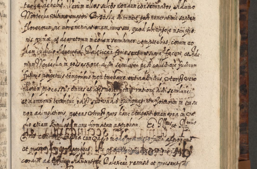 Zdjęcie nr 84 dla obiektu archiwalnego: Acta actorum, causarum spiritualium, civilium, criminalium, obligationum, quietationum, inscpritionum, cessionum, decimarum, testamentorum R. D. Martini Szyszkowski, episcopi Cracoviensis, ducis Severiensis in annis 1624 - 1626. Tomus tertius.