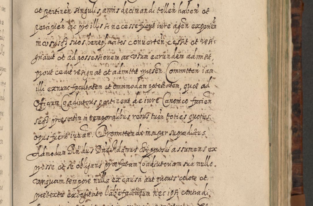 Zdjęcie nr 34 dla obiektu archiwalnego: Acta actorum, causarum spiritualium, civilium, criminalium, obligationum, quietationum, inscpritionum, cessionum, decimarum, testamentorum R. D. Martini Szyszkowski, episcopi Cracoviensis, ducis Severiensis in annis 1624 - 1626. Tomus tertius.