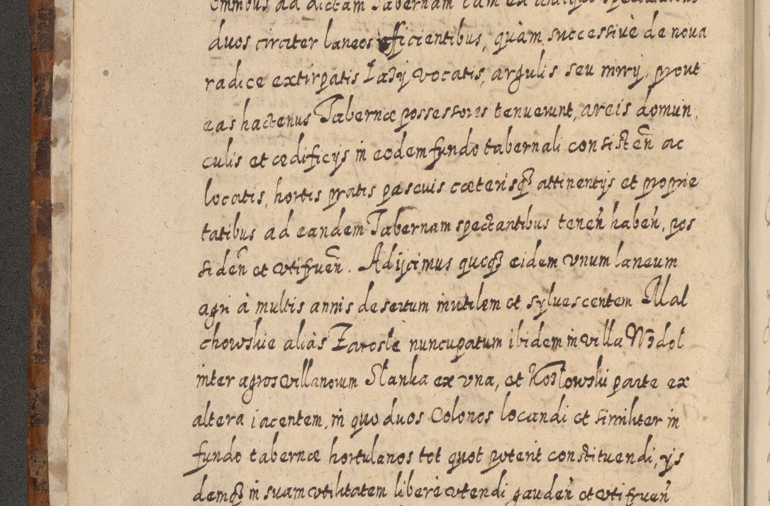Zdjęcie nr 15 dla obiektu archiwalnego: Acta actorum, causarum spiritualium, civilium, criminalium, obligationum, quietationum, inscpritionum, cessionum, decimarum, testamentorum R. D. Martini Szyszkowski, episcopi Cracoviensis, ducis Severiensis in annis 1624 - 1626. Tomus tertius.