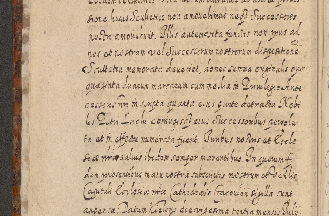 Zdjęcie nr 13 dla obiektu archiwalnego: Acta actorum, causarum spiritualium, civilium, criminalium, obligationum, quietationum, inscpritionum, cessionum, decimarum, testamentorum R. D. Martini Szyszkowski, episcopi Cracoviensis, ducis Severiensis in annis 1624 - 1626. Tomus tertius.