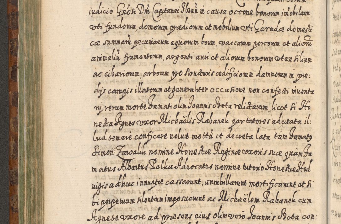Zdjęcie nr 359 dla obiektu archiwalnego: Acta actorum, causarum spiritualium, civilium, criminalium, obligationum, quietationum, inscpritionum, cessionum, decimarum, testamentorum R. D. Martini Szyszkowski, episcopi Cracoviensis, ducis Severiensis in annis 1624 - 1626. Tomus tertius.