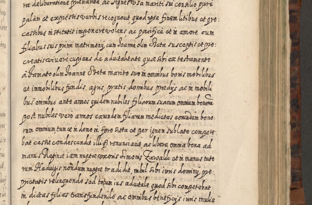 Zdjęcie nr 358 dla obiektu archiwalnego: Acta actorum, causarum spiritualium, civilium, criminalium, obligationum, quietationum, inscpritionum, cessionum, decimarum, testamentorum R. D. Martini Szyszkowski, episcopi Cracoviensis, ducis Severiensis in annis 1624 - 1626. Tomus tertius.