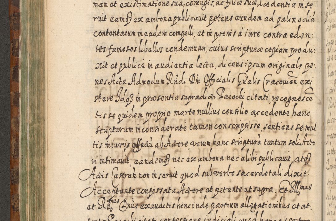 Zdjęcie nr 305 dla obiektu archiwalnego: Acta actorum, causarum spiritualium, civilium, criminalium, obligationum, quietationum, inscpritionum, cessionum, decimarum, testamentorum R. D. Martini Szyszkowski, episcopi Cracoviensis, ducis Severiensis in annis 1624 - 1626. Tomus tertius.