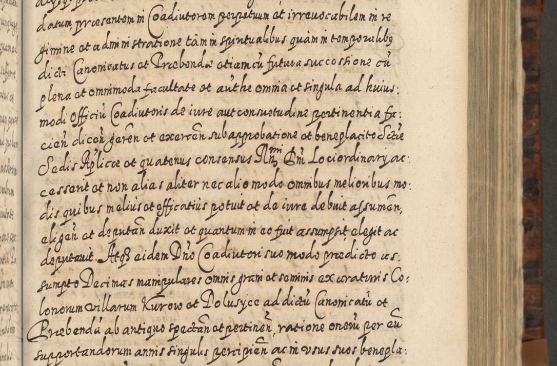 Zdjęcie nr 298 dla obiektu archiwalnego: Acta actorum, causarum spiritualium, civilium, criminalium, obligationum, quietationum, inscpritionum, cessionum, decimarum, testamentorum R. D. Martini Szyszkowski, episcopi Cracoviensis, ducis Severiensis in annis 1624 - 1626. Tomus tertius.