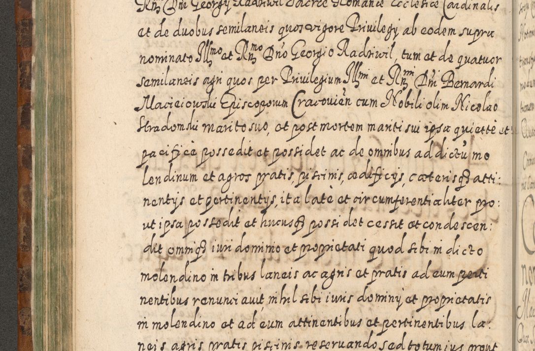 Zdjęcie nr 295 dla obiektu archiwalnego: Acta actorum, causarum spiritualium, civilium, criminalium, obligationum, quietationum, inscpritionum, cessionum, decimarum, testamentorum R. D. Martini Szyszkowski, episcopi Cracoviensis, ducis Severiensis in annis 1624 - 1626. Tomus tertius.